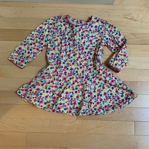 Hanna Andersson 2T dress